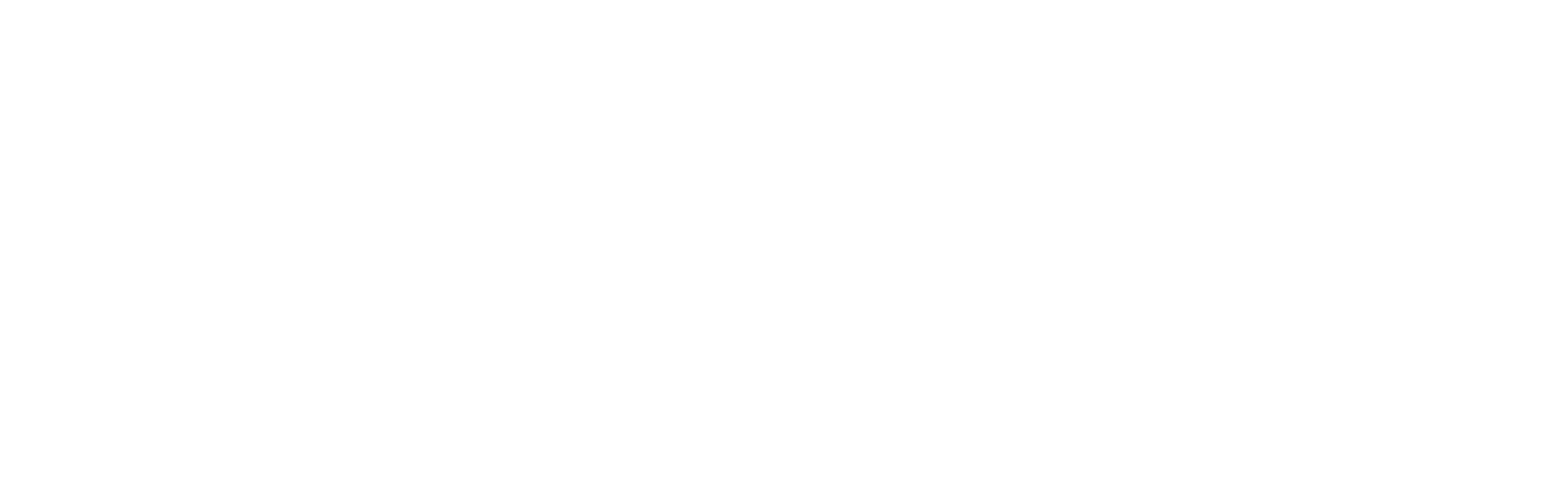 AxeTM Official Website